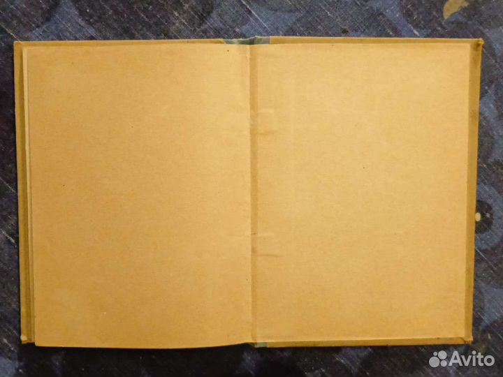 Под открытым небом