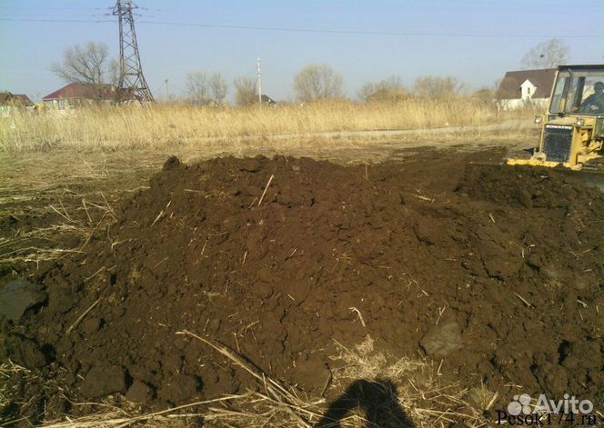 Перегной навоз