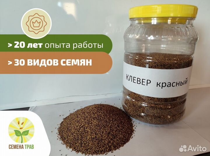 Семена клевера красного