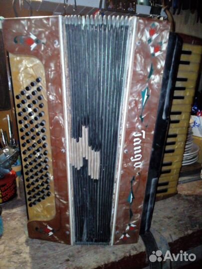 Аккордеон Танго