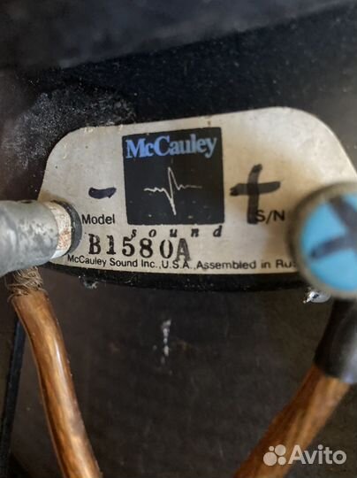 Бин нч клонки