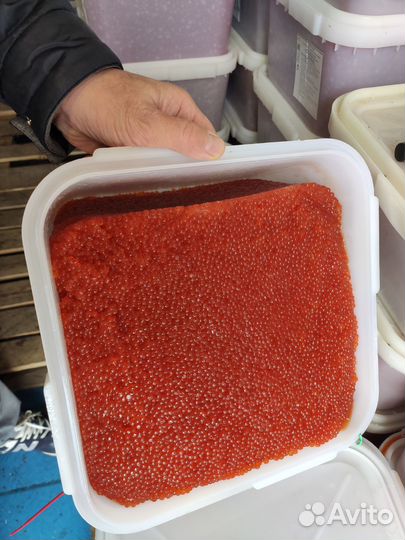 Красная икра 2023 опт