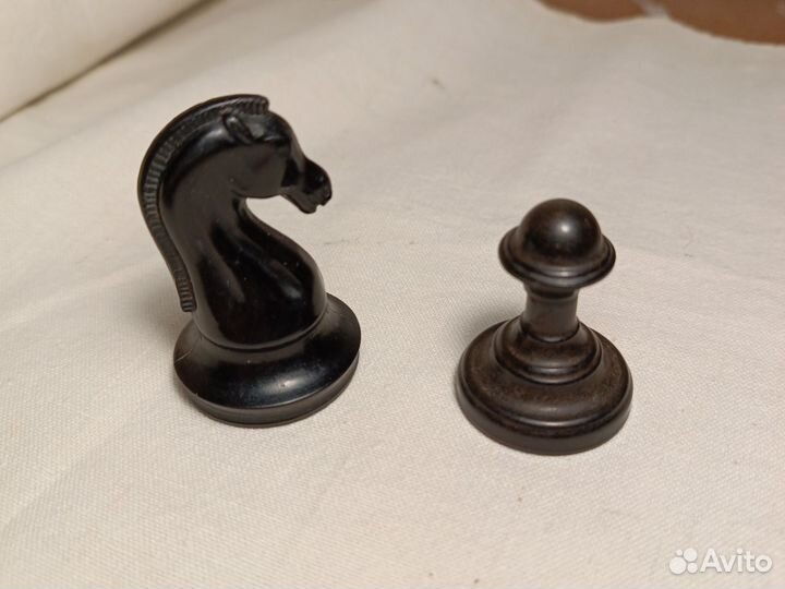 Шахматы. Конь