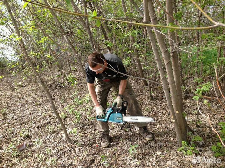 Покос травы триммером, вырубка кустарника