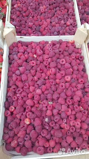 Клубника малина