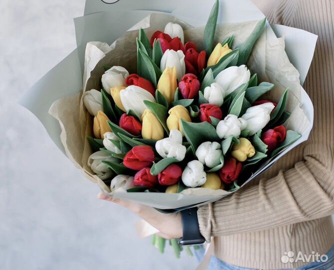 Тюльпаны 25 31 101 141