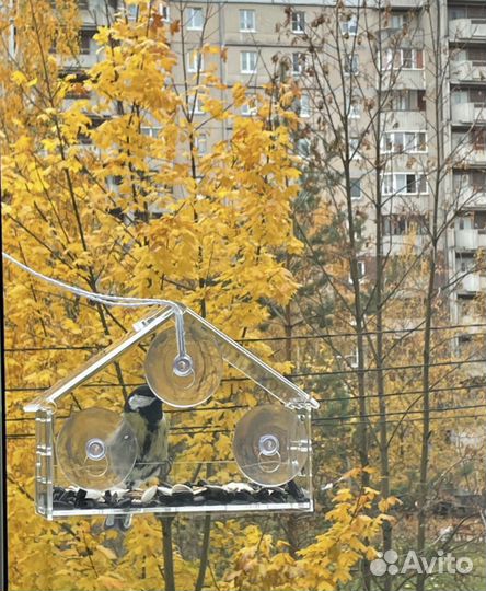 Кормушка для птиц на окно