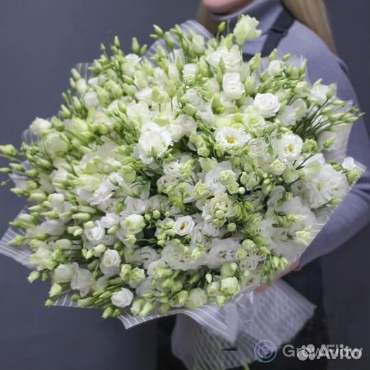 Цветы эустома Алисса