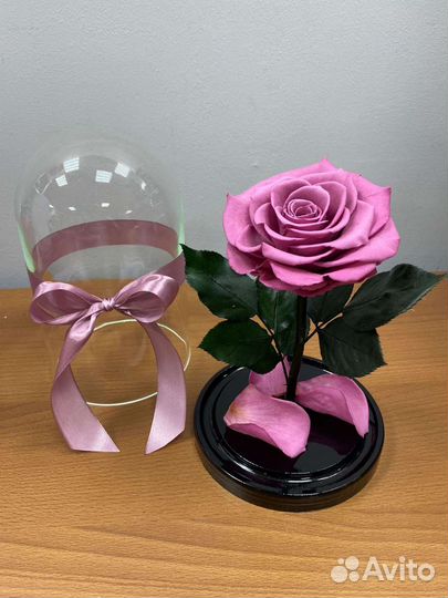 Розы в колбе