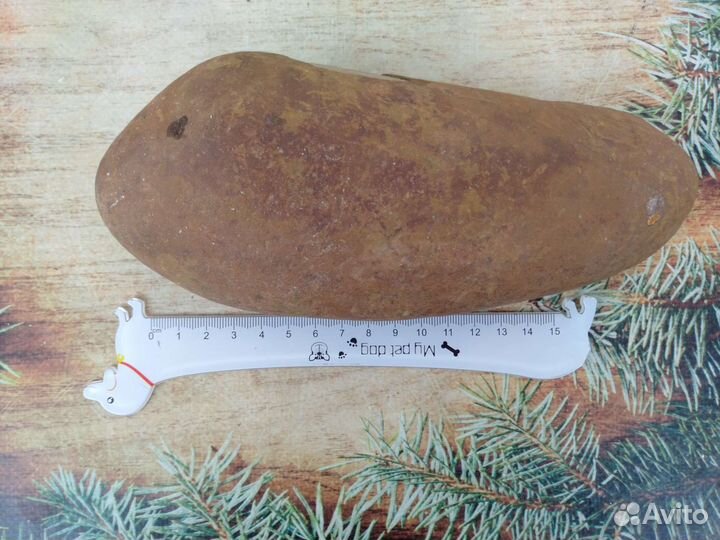 Каменный метеорит в коллекцию,1,5 кг