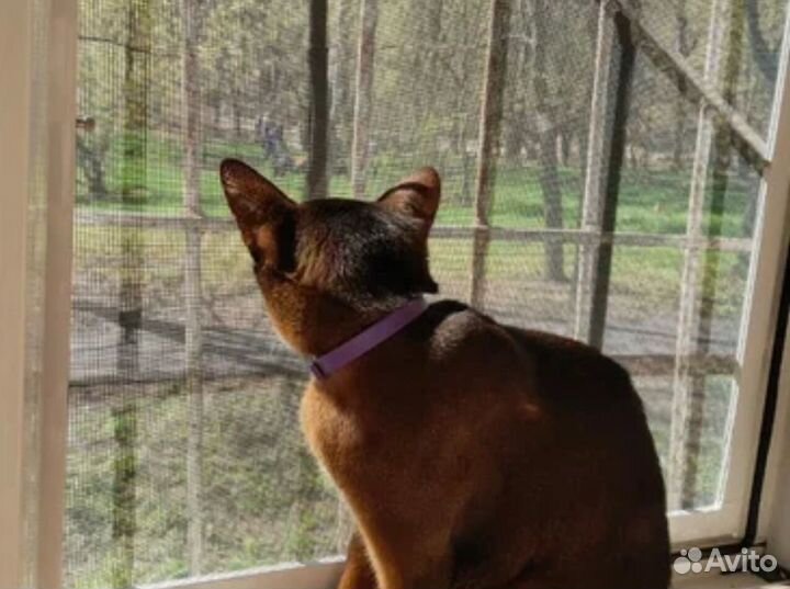 Сетка москитная от пыли