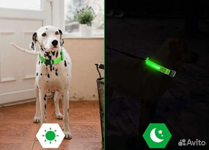 Светящийся ошейник для собак и кошек