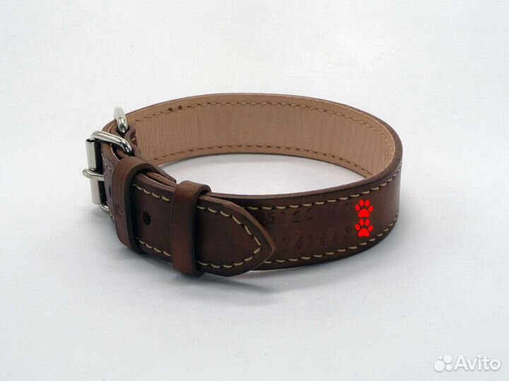 Ошейник для собак