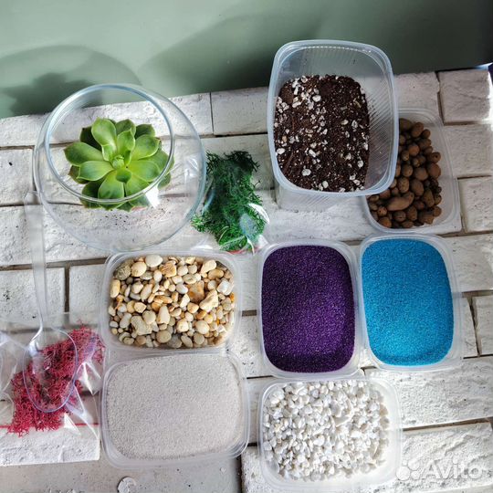 Набор для создания флорариума