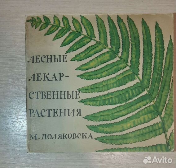Лесные лекарственные растения М.Поляковска