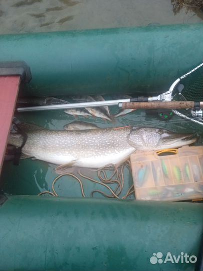 Гребная лодка