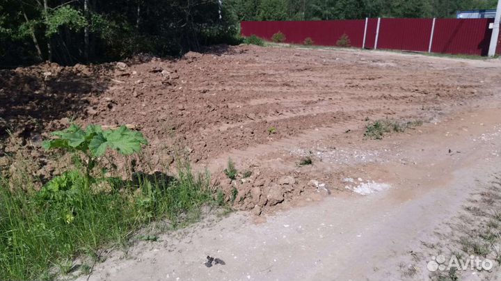 Торф сапропель