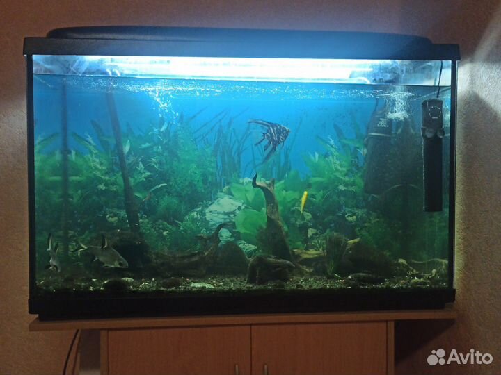 Аквариум