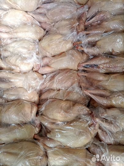 Перепёлка тушка