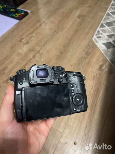 Panasonic lumix gh5