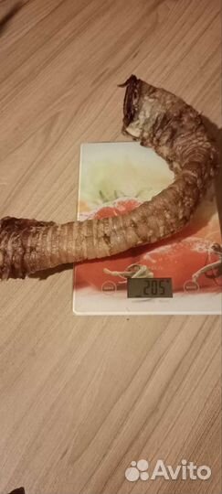 Лакомства для собак