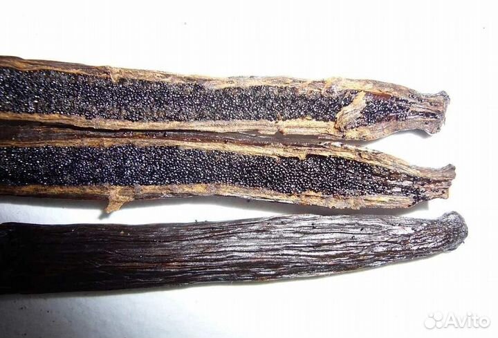 Ваниль стручки Мадагаскар