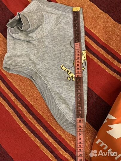 Одежда для маленьких собачек