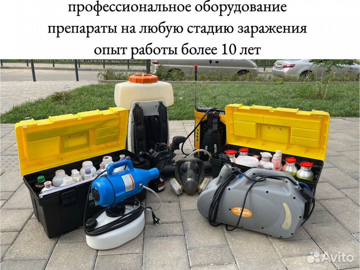 Уничтожение клопов тараканов дезинфекция