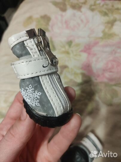 Ботиночки для мелких пород собак