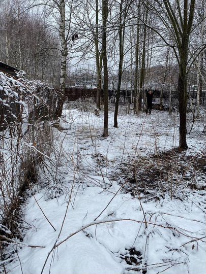 Участок 10 сот. (СНТ, ДНП)