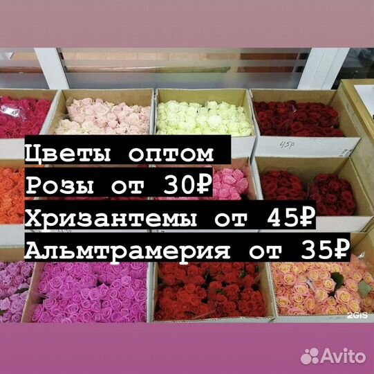 Цветы оптом