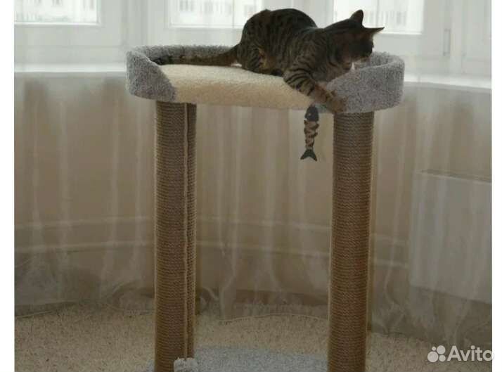 Когтеточка