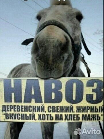 Навоз