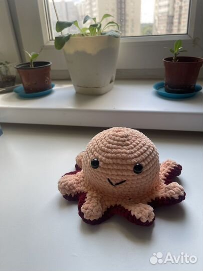 Осьминог перевертыш