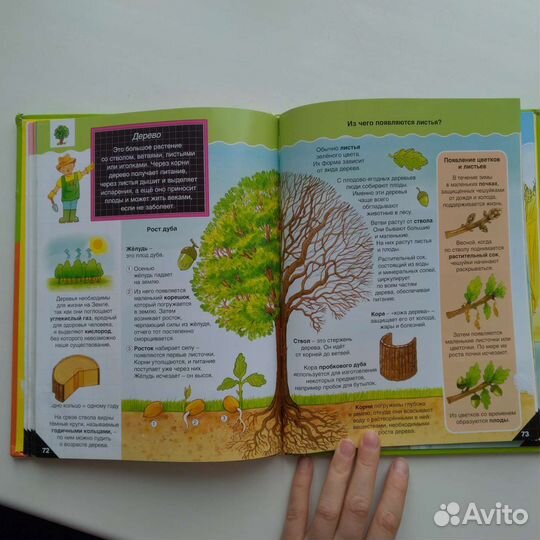 Первая энциклопедия для маленьких книга