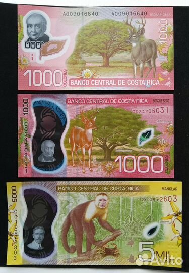 Банкноты Коста-Рики