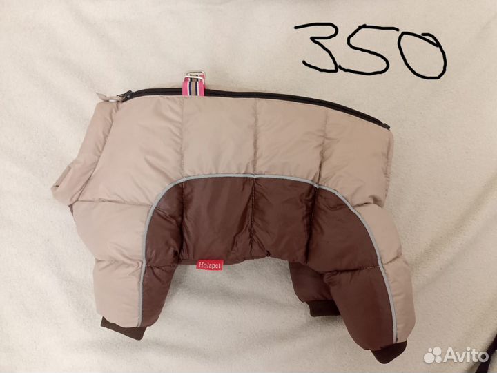 Одежда для маленьких собак