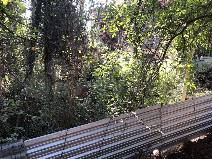 Участок 6 сот. (СНТ, ДНП)