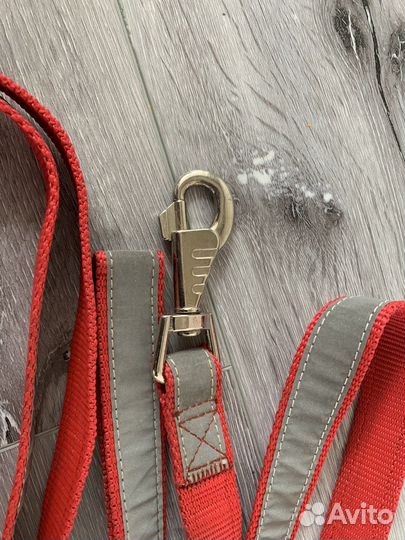 Ошейник и поводок