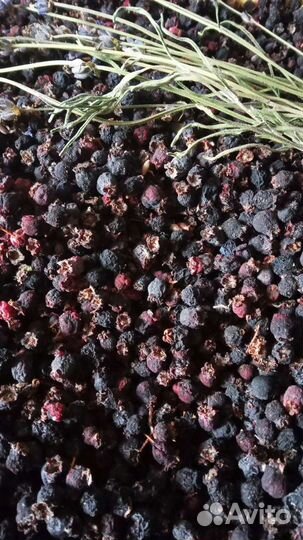 Ирга, Вишня, укроп сушенные