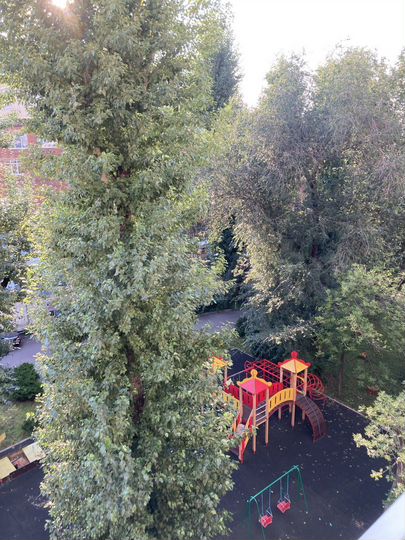 Комната 20 м² в 3-к., 3/5 эт.