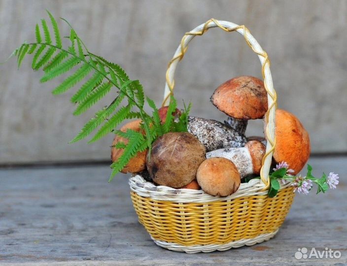 Сушеные грибы