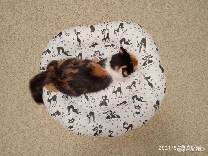 Лежанка для животных