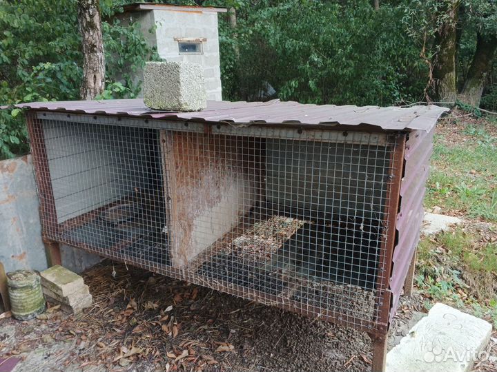 Клетка для грызунов бу