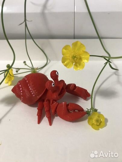 Краб-улитка