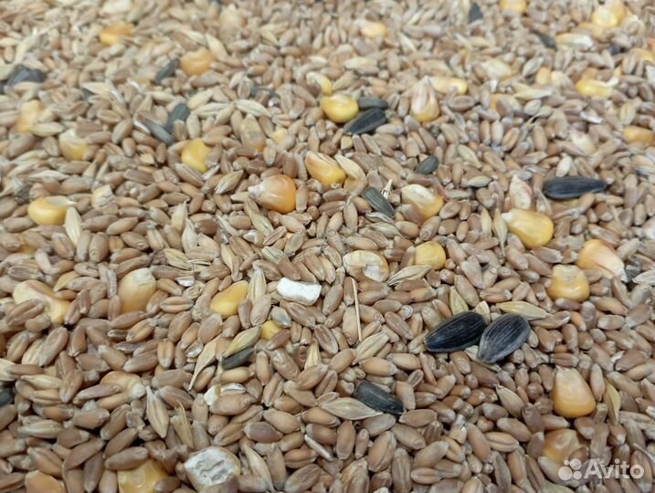 Зерносмесь