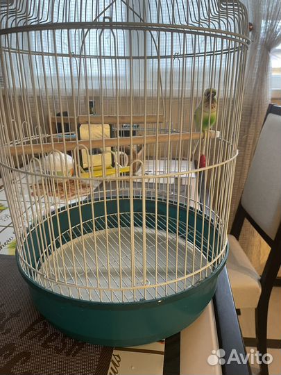 Клетка для попугая