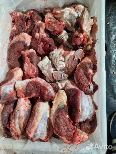 Мясо для собак