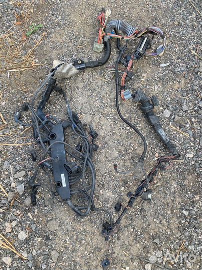 Проводка двигателя BMW E60 E65 M57N2 D3 Euro4/5