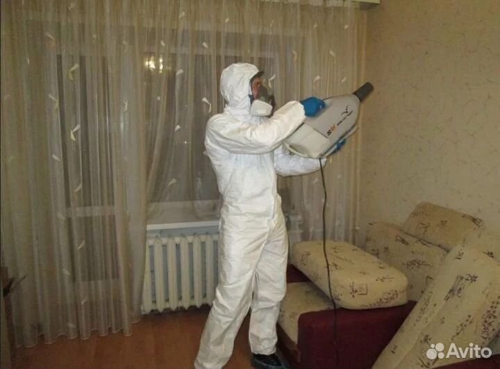 Уничтожение клопов таракан насекомых